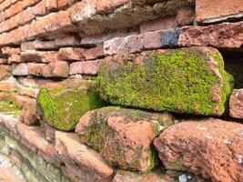 Picture of bricks in an ancient site that is old and covered with moss. photo