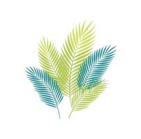 Minimal Line Art Palm Leaves vector