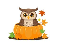 Owl in a Pumpkin Patch Nest vector