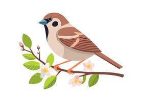 Sparrow Perched on a Flowering Branch vector