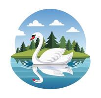 Swan Gliding Over a Glassy Lake vector