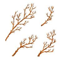 Colorful Textured Illustration Set of Bare Branches Isolated on White Background vector