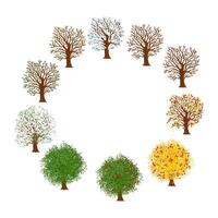 Colorful Textured Illustration of Seasonal Tree Representing Yearly Cycle Isolated on White Background vector