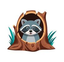 Raccoon Peeking Out from a Hollow Tree vector