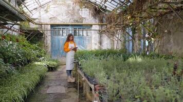 Woman agronomist botanist makes notes in greenhouse inspecting plants. video