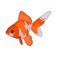 illustration of goldfish vector
