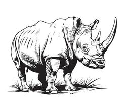 sketch style rhino isolated on white vector