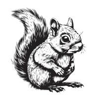 Squirrel sitting sketch hand drawn vector
