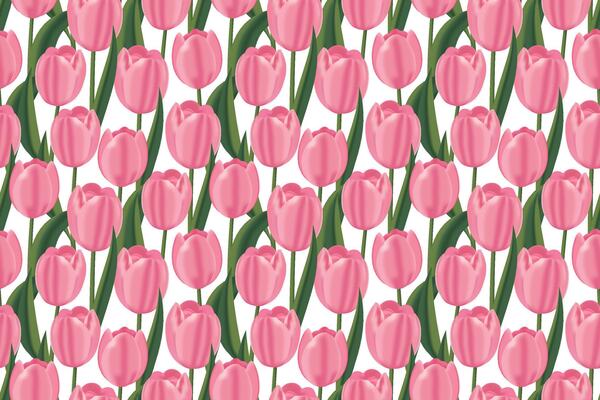 Delicate seamless pattern with pink tulips on white background. Elegant floral design for fabric, cards, wrapping paper, etc. illustration
