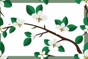 A branch with white flowers and green leaves on a white background, framed by a green border. vector
