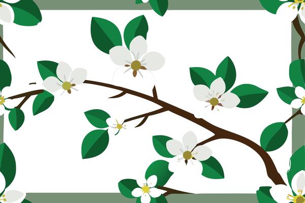A branch with white flowers and green leaves on a white background, framed by a green border.