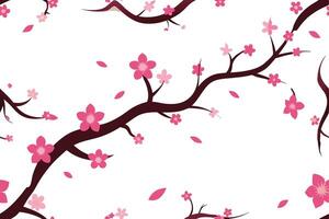 A cherry blossom pattern is shown on a white background vector