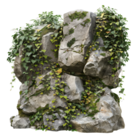 A rock with vines growing on it png