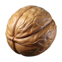 Walnut 3d illustration isolated on the transparent background png