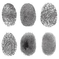 Collection of different outline fingerprints vector