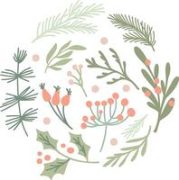 Christmas foliage creating a festive circle on white background for holiday winter cards vector