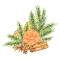 Orange slices, pine branches, cinnamon sticks, and cones. Watercolor clipart for winter crafts, holiday-themed invitations, and product packaging. Adds a festive element to digital and printed designs png