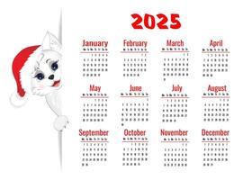 Calendar 2025 with white cat. Cute little cat in christmas hat. Week starts on Monday. illustration in horizontal format A4, A5. vector