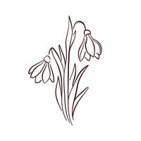 Snowdrop flower drawn in a minimalistic line art style. Perfect for spring design, nature illustration, botanical project and elegant decorative element. vector