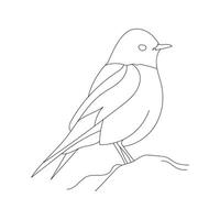 Bird line art Bird outline vector