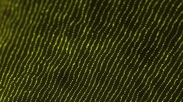 Abstract Pattern of Yellow Circles on a Black Background video