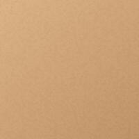 Craft wrapping paper. Color background texture of beige cardboard, . vector
