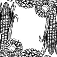 A frame with corn cobs, sliced and a handful of grains. graphic composition. A black and white hand-drawn illustration. On a white background. Great for labels, menus and packaging. vector