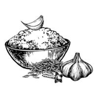 Dried ground garlic, cumin and cloves in a bowl. graphics with the image of aromatic spices. Black and white hand-drawn illustration. On a white background. Great for menus, posters or labels. vector