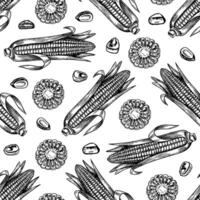 Seamless corn pattern. graphics depicting sliced and whole corn cobs and grains. A black and white hand-drawn illustration. On a white background. Great for labels, packaging and textiles. vector