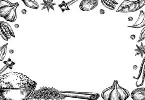 Frame with spices. graphics depicting aromatic culinary spices of different types. Black and white hand-drawn illustrations. On a white background. For menus, posters, labels and packages. vector