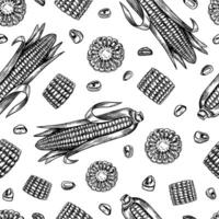 Seamless corn pattern. graphics depicting sliced and whole corn cobs. A black and white hand-drawn illustration. On a white background. Great for labels, packaging and textiles. vector