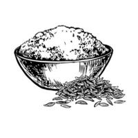 Crushed cumin or zira in a bowl. graphics with the image of aromatic spices. Black and white hand-drawn illustration. On a white background. Great for cooking recipes, menus, posters or labels. vector