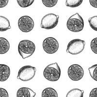 Seamless pattern with lemons, whole, cut, halves. graphic illustration of citrus fruit. Black and white hand drawn image. On white background. For menus, labels, stickers, packages and textiles vector