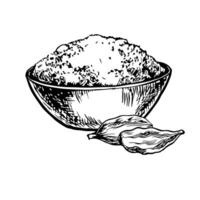 Crushed cardamom in a bowl. graphics with the image of fragrant spices. A black and white hand-drawn illustration. On a white background. For cooking recipes, menus, posters or labels. vector