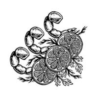 Shrimp dish with lemon and herbs. graphics with the image of cooked seafood. A hand-drawn black and white illustration of the dish. For menus, posters, labels, recipes, invitations. vector