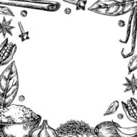 Frame with spices. graphics depicting aromatic culinary spices of different types. Black and white hand-drawn illustrations. On a white background. For banners, menus, posters, labels, packages vector