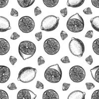 Seamless pattern with lemons, whole, cut, halves and slices. graphic illustration of citrus fruits. Black and white hand drawn image. On a white background. For labels, packages, textiles. vector