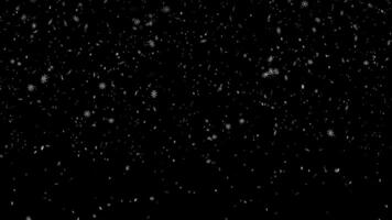 Falling snow animation. 4k transparent background with alpha channel. Large and small snowflakes swirling and falling to the ground. Winter, Christmas and new year. video