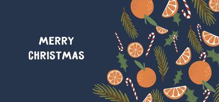 Christmas and new year banner editable template with citruses vector