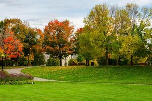 Autumn maple colors of Major's Hill park in Ottawa, Canada photo