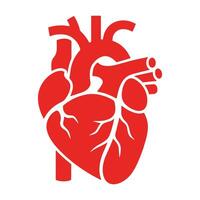 Real human heart organ icon in red, flat style. illustration ideal for medical designs, health symbols, and anatomy projects. Perfect for educational and healthcare-related visuals. vector