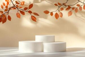 Envision a serene autumnthemed podium adorned with natural elements, making it the ideal setting for elegantly showcasing a range of beauty and wellness products with sophistication photo