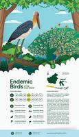 Indonesian Javanese endemic aves flat illustration for science book idea vector