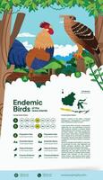 Indonesian Javanese endemic aves flat illustration for science book idea vector