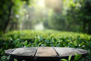 An inviting rustic wooden table is nestled amidst vibrant green foliage and bathed in soft warm sunlight photo