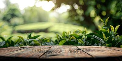 A peaceful and tranquil setting that features a charming rustic wooden table surrounded by vibrant, lush foliage photo