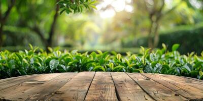 A serene outdoor scene showcasing a rustic wooden table that is beautifully surrounded by vibrant greenery all around photo