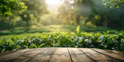 A tranquil and peaceful natural scene showcasing vibrant lush greenery along with a cozy wooden table setting photo
