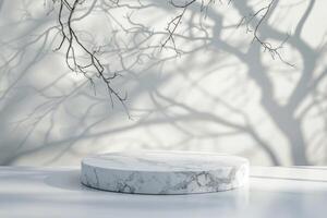 A beautifully crafted marble podium is lit by a gentle background, highlighting intricate shadows from nearby tree branches, creating an ideal setting for product displays or presentations photo