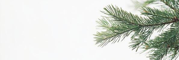 A lush green fir branch significantly enhances holiday decorations, adding a unique and natural touch to every festive setting, making it perfect for creating garlands and beautiful indoor decor photo
